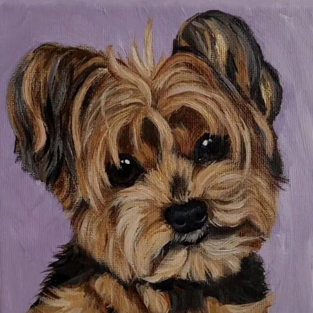 6x6 Custom Pet Portrait